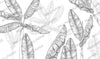 Banana Leaf Wallpaper Mural: Black & White Tropical Peel and Stick