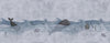 Ocean Life Wallpaper Mural: Whales & Waves, Nautical Kids Room